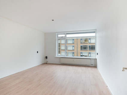 Van Der Haertstraat 30
