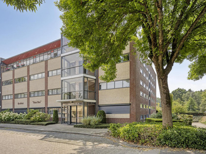 Aalscholver 4