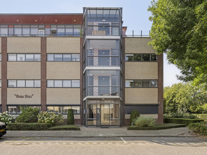 Aalscholver 4