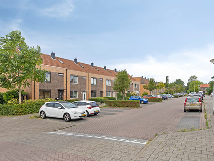 Lupinestraat 69