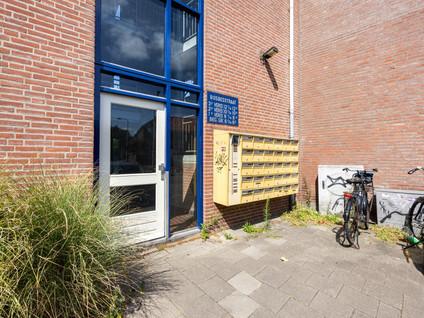 Bosbesstraat 8D