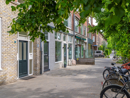 Anton Geesinkstraat 6