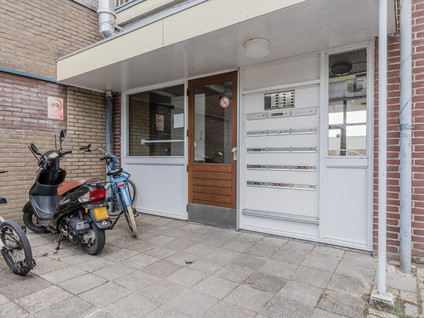 Sperwerlaan 133