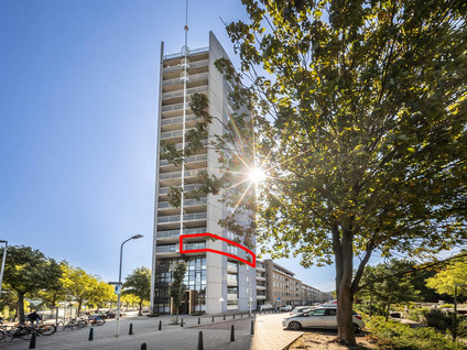 Troelstrakade 39