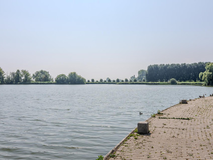 L. Springerstraat 95