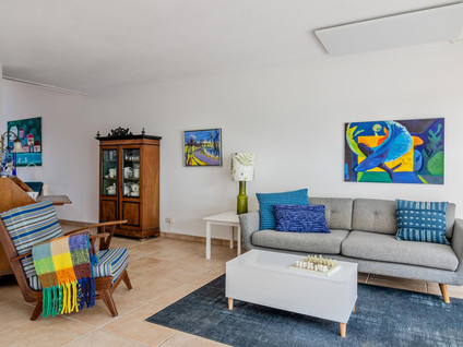 L. Springerstraat 95