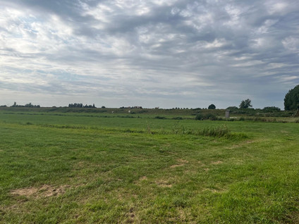 Oudendijkseweg 