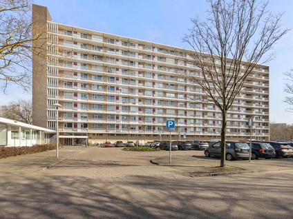 Livingstonelaan 474