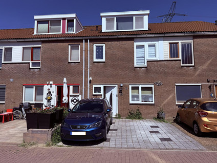 Houtsnede 19