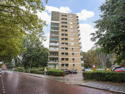 Vlamenburg 63