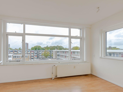 Langenhorst 293