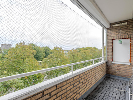 Langenhorst 293
