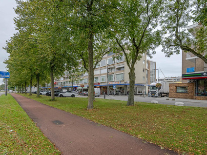 Langenhorst 293