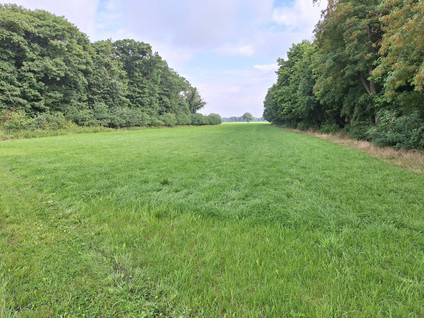 Prinsenweg - Langenboom