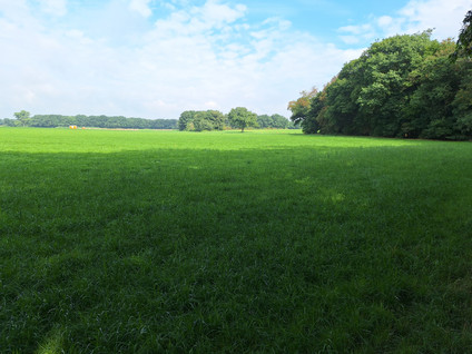 Prinsenweg 