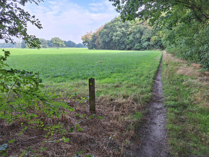 Prinsenweg 