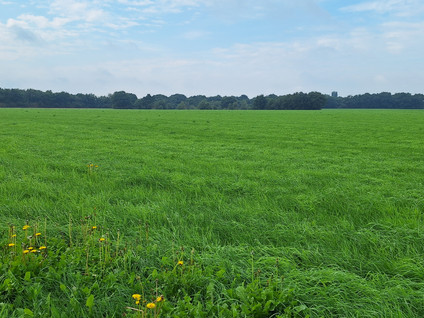 Prinsenweg 