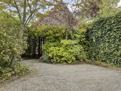 Wilhelminastraat 31