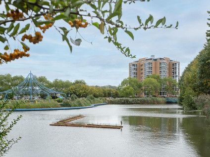 Erasmuspark 118