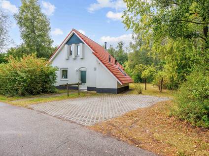 De Rug 3 158