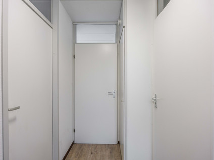 De Rug 3 69