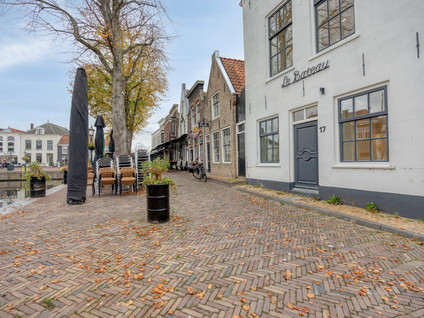 Vingerling 17