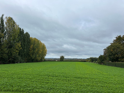 Heerlerweg 
