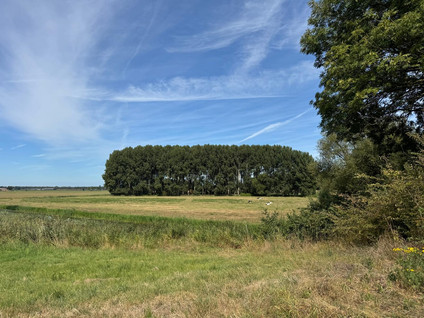 Hooibroeksesteeg - Elshout