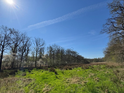 Gommelsestraat - Biezenmortel