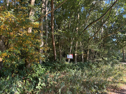 De Korstbroeken - Hoogeloon