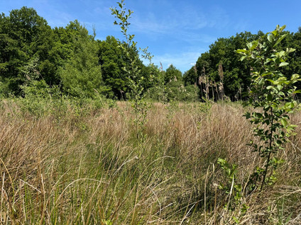 Looerheideweg 