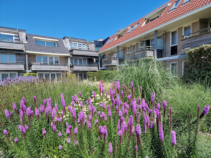 Heereweg 5 45