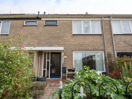 Wintergroen 29