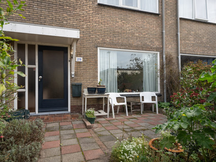Wintergroen 29