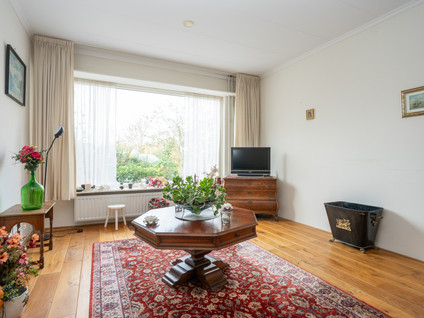 Wintergroen 29
