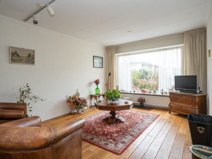 Wintergroen 29