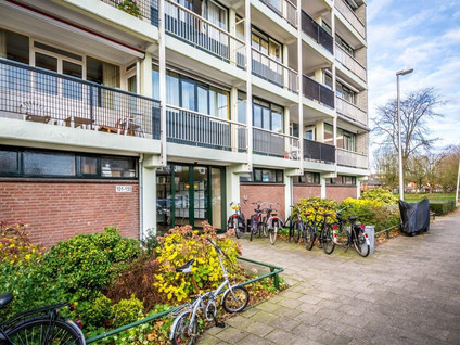 Boekelaan 135