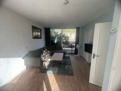 homes for rent on Van Alkemadelaan 23