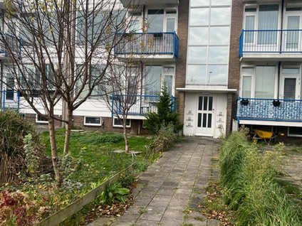 apartments for rent on Populierenlaan 57