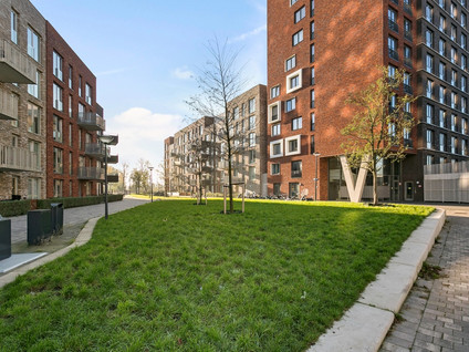 homes for rent on Sigmaplantsoen 675