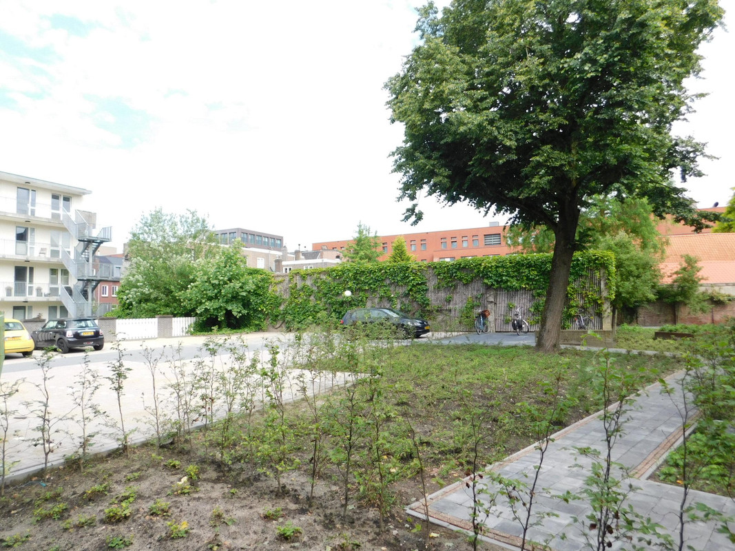 Appartement te huur: Delpratsingel 23A1, Breda