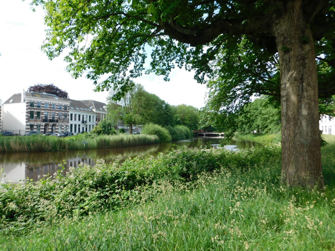 Appartement te huur: Delpratsingel 23A1, Breda