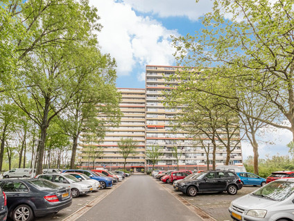 Oost-Dorsch 37