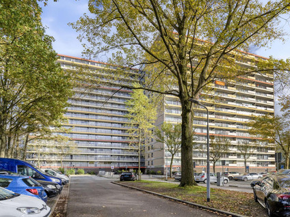 Oost-Dorsch 37