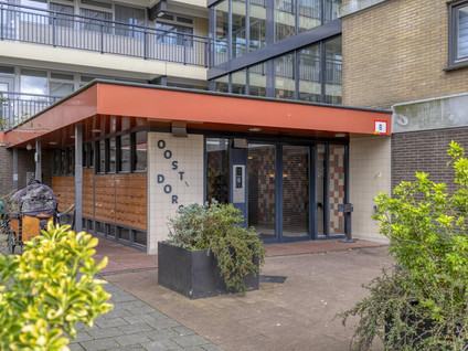 Oost-Dorsch 37