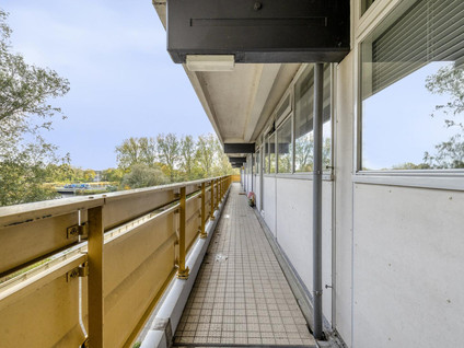 Oost-Dorsch 37