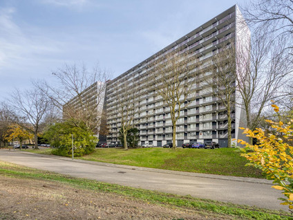 Henri Dunantstraat 299