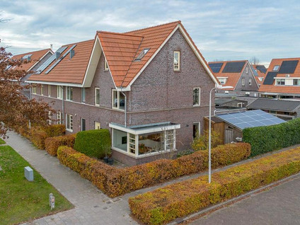 Grote vuurvlinder 31