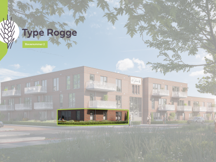 Rogge 