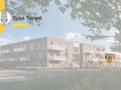 Tarwe 